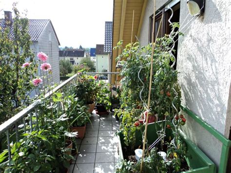 Dia punya kebun kecil di bawah di bagian bawah terlampir dalam kaca, seperti rumah kaca. 12+ Membuat Kebun Sayur Di Lahan Sempit, Info Penting!