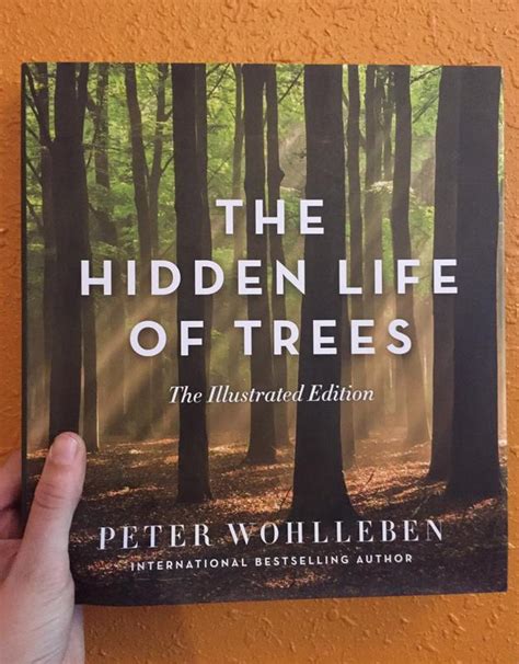 Hidden Life Of Trees The Illustrated Edition Microcosm Publishing