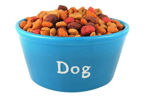 Protein is an extremely important part of your dog's diet. Top 10 Best Dog Food Brands On The Market: Comparison ...