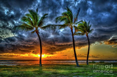 Pacific Ocean Sunset Palm Trees Maili Beach Park Pokai Bay
