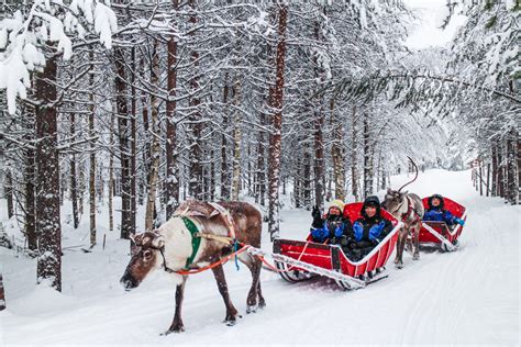 Christmas Week Adventure In Rovaniemi Lapland 20 27122021 Lapland
