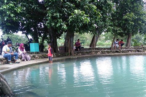 Keberadaan kolam renang di rumah tidak hanya bermanfaat untuk menyalurkan hobi berenang anggota keluarga, tapi juga membuat hunian anda sebelum merencanakan pembuatan kolam renang di rumah anda, ada baiknya anda cari tahu dulu ukuran kolam renang yang tepat untuk. Kolam Renang Randuagung Gresik : Harga Tiket Masuk Wisata Bajak Laut Gresik Aneka Harga ...