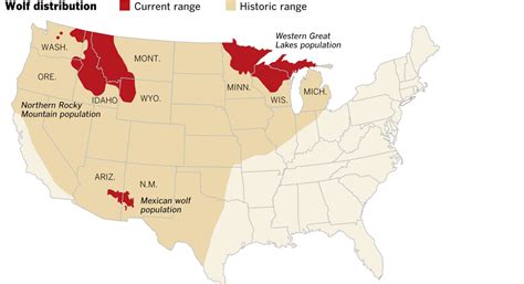 Gray Wolf Habitat