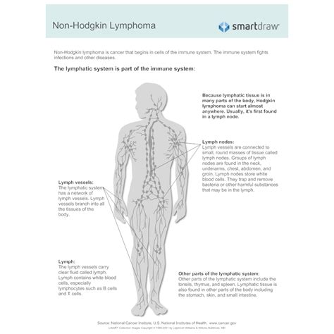 Non Hodgkin Lymphoma 1