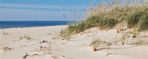 4 Great Beaches In Eastern Michigan To Visit Freshwater Vacation Rentals