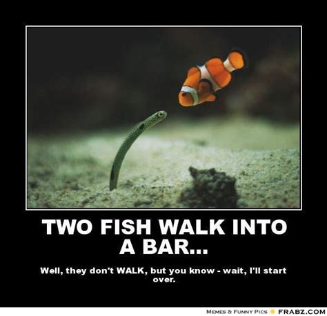 Clever And Funny Fish Puns In Fish Puns Fishing Humor Fish Sexiezpix Web Porn