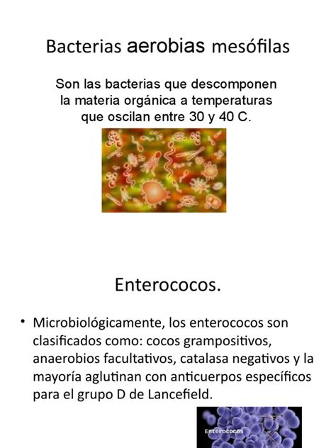 Bacterias Mesófilas Pdf
