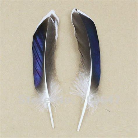 Wedding Earrings Feather 100pcslot 10 15cm Nice Nature Mallard Duck