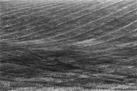 Geometry Mowing Pattern On A Lawn My Instagram Nikon F6 Ni Flickr