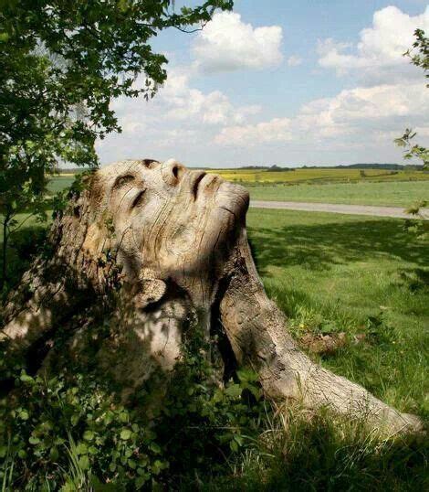Mother Earth Naturbilder Baum Gesichter Natur Kunst