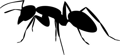 Ant Clipart Free Download On Clipartmag