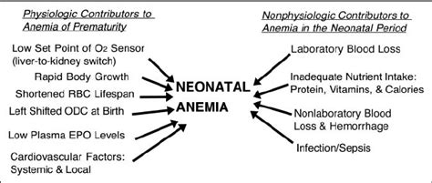 Pathophysiology Of Neonatal Anemia Contributors To Anemia That Develops Download Scientific