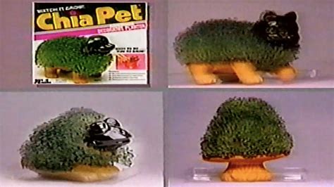 Chia Pet 1990s Commercial Youtube