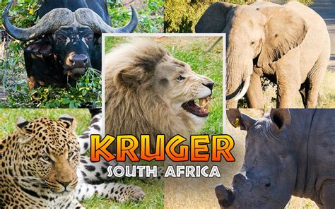 Kruger national park primarily caters to nature and animal lovers. Guide to Game Driving in Kruger National Park, South ...