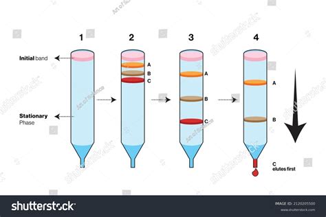 Size Exclusion Chromatography Over 3 Royalty Free Licensable Stock