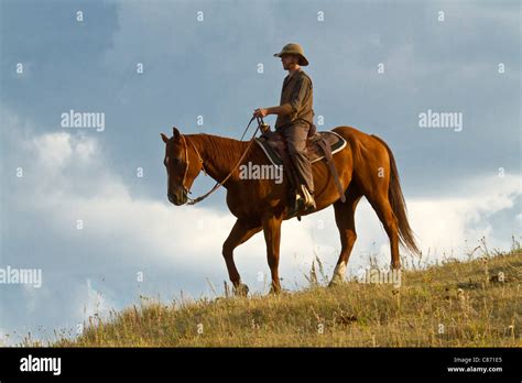 Lone Cowboy Riding A Brown Horse On A Grassy Hill In South Dakota Stock