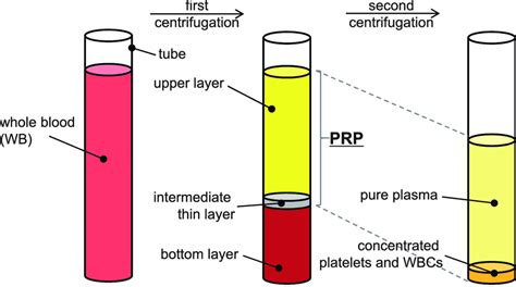 Centrifugation Process Diagram