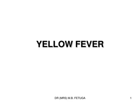 PPT YELLOW FEVER PowerPoint Presentation Free Download ID