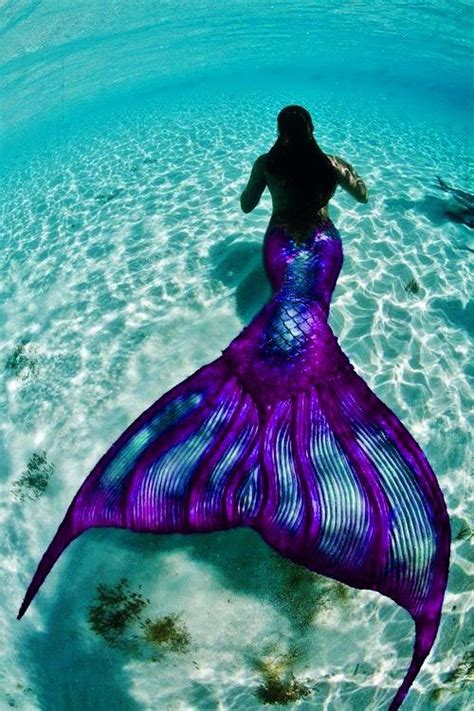 Purple And Turquoise Mermaid Fairytale Sirenas Sirenas Verdaderas