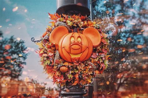 Mickey Pumpkins Are The Best Pumpkins 🎃 Fall At Wdw Halloween At