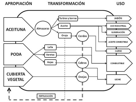 Diagrama De Los Flujos De Productos Apropiados Transformados Y Usados