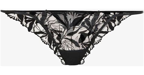 Bluebella Tulle Persephone Floral Embroidered Stretch Mesh Briefs In