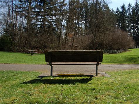 Park Bench With Tree Grove By Happeningstock On Deviantart