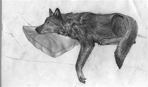 Wolf Sleep Fur By Sueqmoo On Deviantart