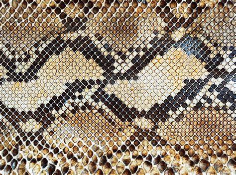 35 Breathtaking Examples Of Patterns In Nature Page 2 Demilked