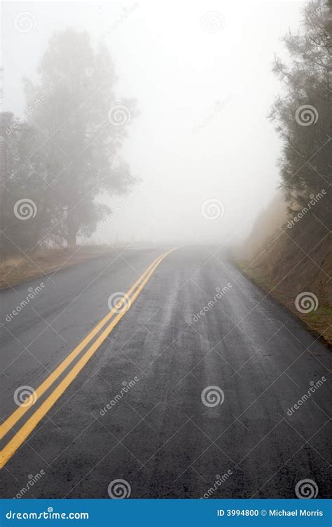 Foggy Road Stock Photo Image 3994800
