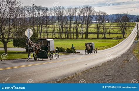 View Of Two Amish Horse And Buggies Traveling Down A Countryside Road