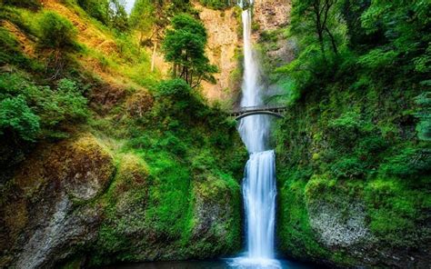 6 Must See Day Trips From Portland Oregon Waterfalls Beautiful