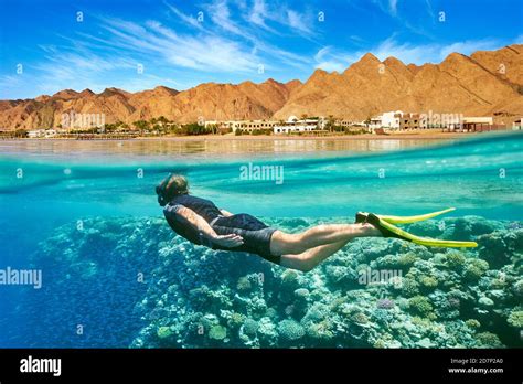 Red Sea Egypt Snorkeling Underwater Marsa Alam Reef Stock Photo Alamy