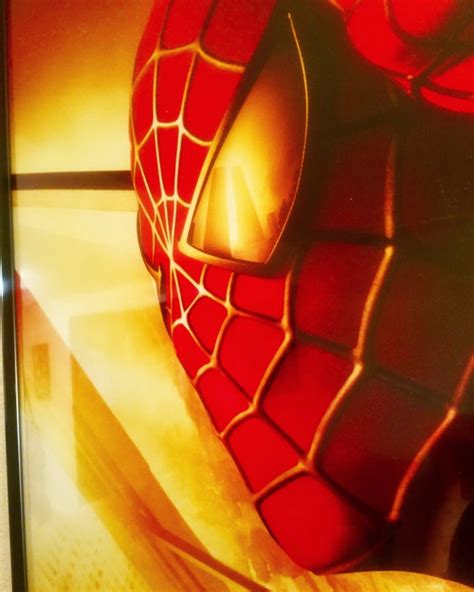The Original Spiderman Movie Poster Reflected The Twin