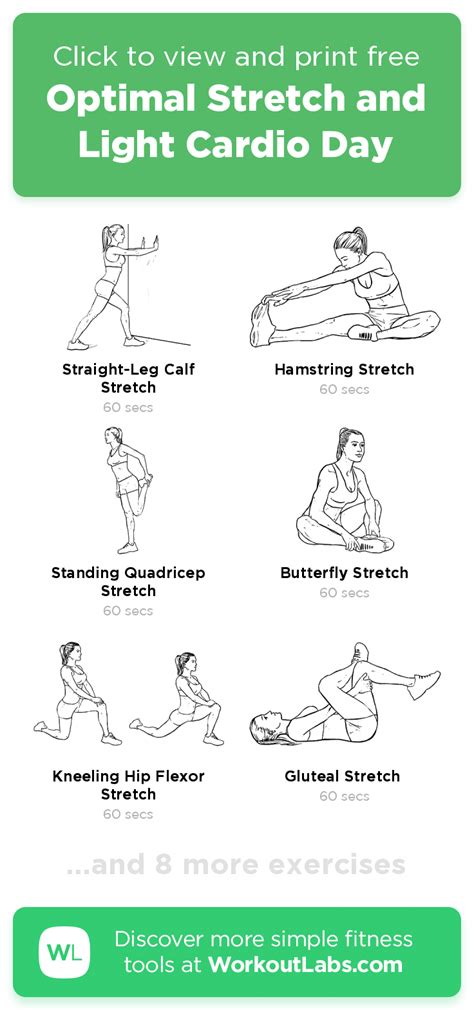 Cardio Flexibility Exercises OFF