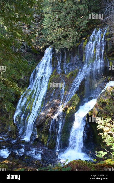 Panther Creek Falls Ford Pinchot National Forest Washington State