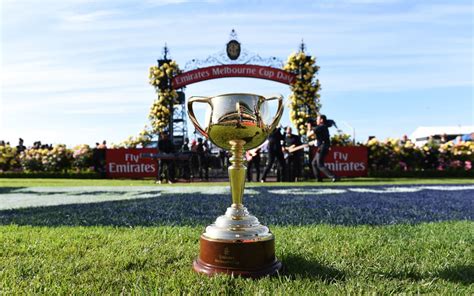 melbourne cup 2022 favourites and forecast for race day rnz news