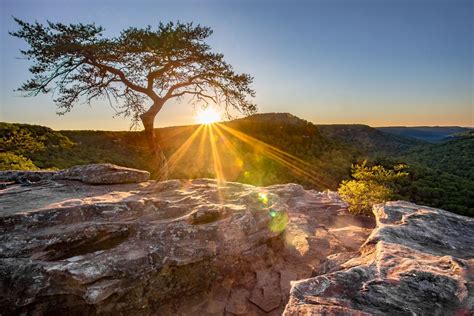 Click here to find out more information or to book a reservation. The 10 Best Hikes near Nashville, TN | Nashville trip ...