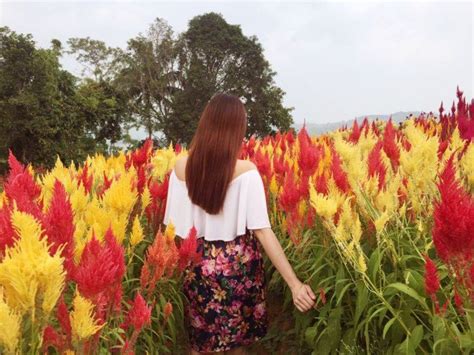 Cebu one of the most visited tourist destinations in the philippines. These Stunning Spots in Cebu Will Take You to Different ...