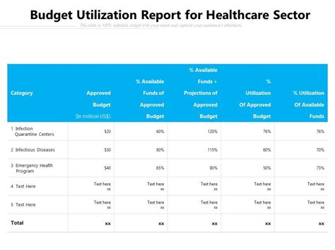 Budget Utilization Report For Healthcare Sector Presentation Graphics