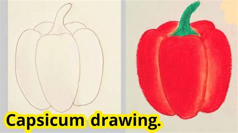 How To Draw Capsicum Step By Step Youtube