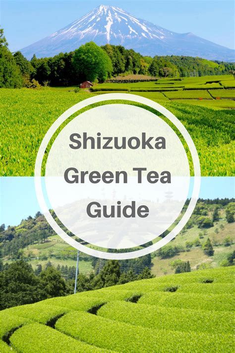 Experience The Delicious Tradition Of Green Tea Culture In Shizuoka And