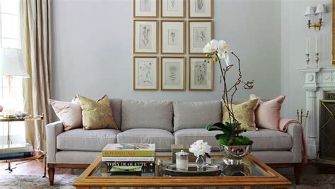 Light Gray Sofa Transitional Living Room Morgan Harrison Home