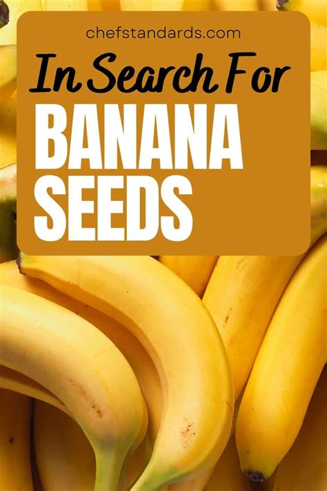 Do Bananas Have Seeds One Question With An Interesting Answer