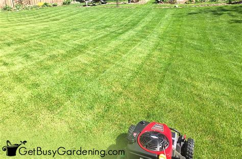 Lawn Mowing Patterns And Techniques How To Cut Grass Like A Pro