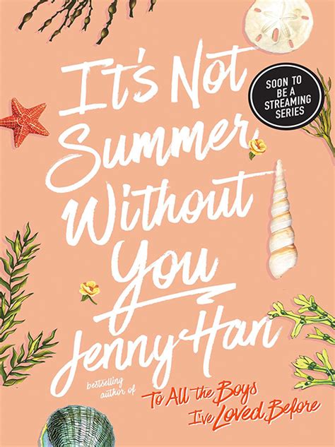 Its Not Summer Without You Paperback Novel Book Centre