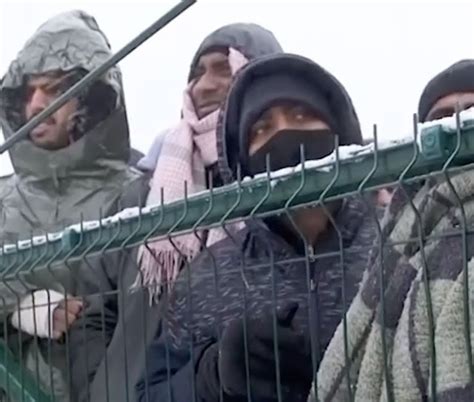 Da Ancona Aiuti Umanitari Per I Campi Profughi In Bosnia Cronache Marche