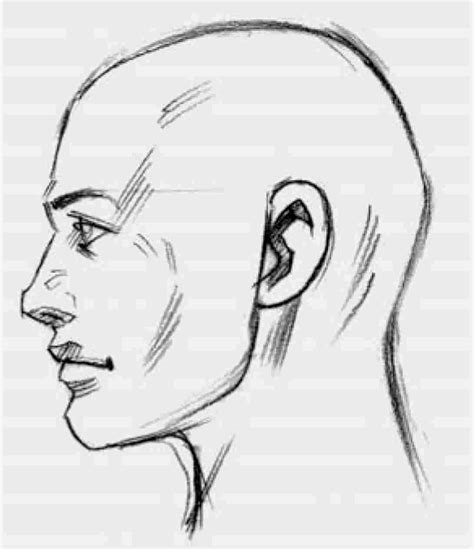 Side Profile Drawing At Explore Collection Of Side