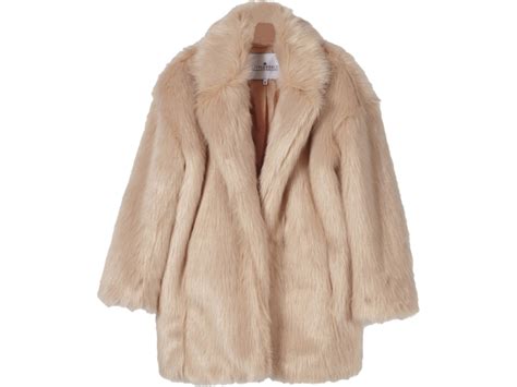 Fur Coat Png Transparent Image Download Size 960x720px