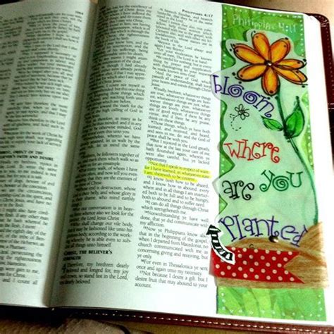 Bloom Where You Are Planted Key Verse Philippians 411 Bible